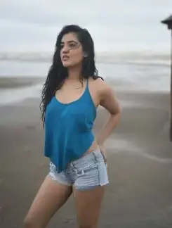 Working Girl udaipur call girl